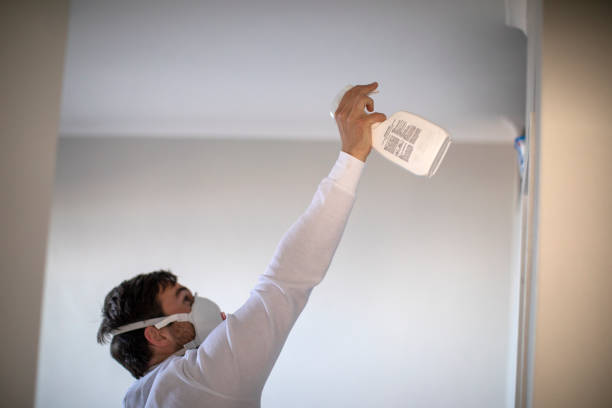 Best Mold Testing and Inspection Services in Kissee Mills, MO